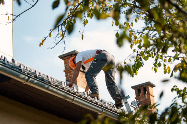 Best Emergency Roof Repair Services  in Gladwin, MI